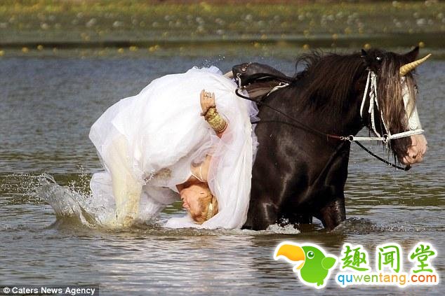 新娘骑马拍婚纱照 被甩下水惨变“落汤鸡”