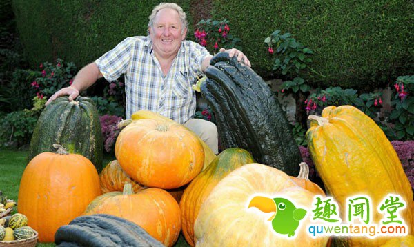 大开眼界！英国老人种出巨型蔬果 自给足养活一家18口