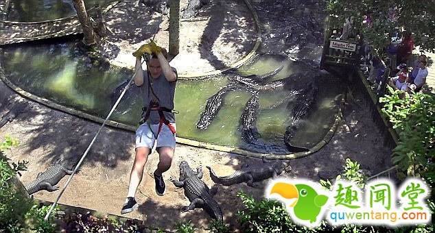 　 　 美国佛罗里达州圣奥古斯丁鳄鱼农场动物园拥有123年历史，所有24种鳄鱼都能看到，大胆的游客可以顺着绳，从鳄鱼池上方爬过，鸟瞰各种鳄鱼。