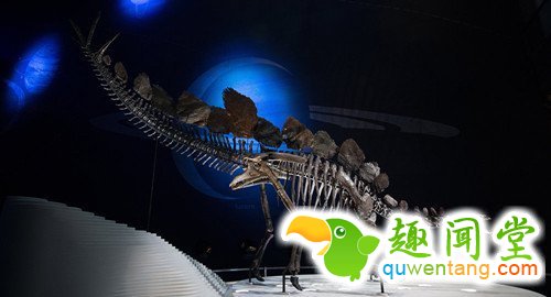 科学家在巴西发现比恐龙更早未知爬行动物（图）