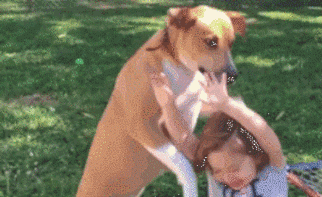 狗狗这十种暴力示爱方式，哪种让你最感动？