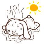 99%的车主没看都后悔了,夏天停车一定要把