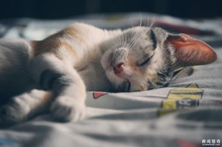 你笨是因为睡太少!睡眠不足的后果比你想