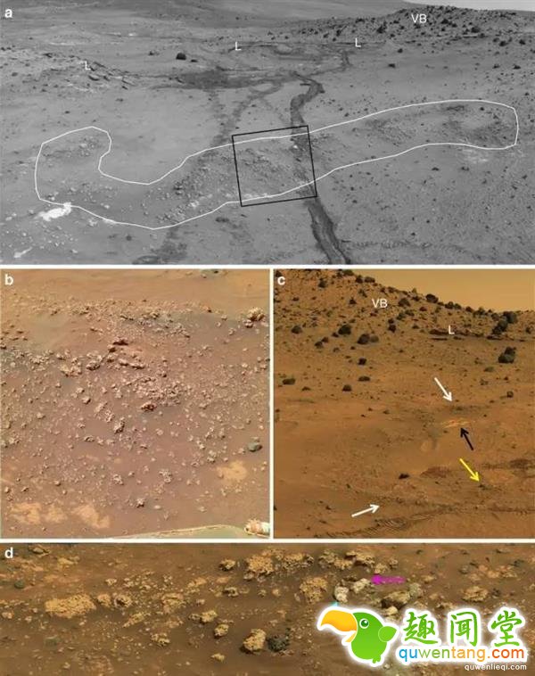 重大发现：我们好像找到了火星生物遗迹！