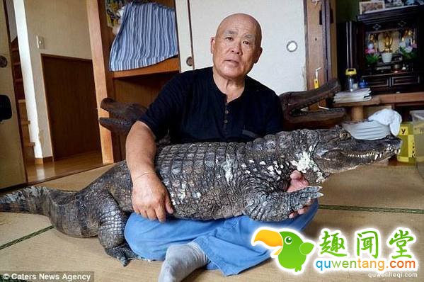英国《每日邮报》报道，日本一名男子饲养了一条鳄鱼当宠物，他每天帮这条2米长的鳄鱼刷牙，偶尔也会带它外出散步，已经与之愉快地相处了34年之久。