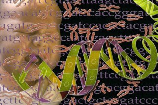 太疯狂了吧！科学家打算通过DNA复制希特勒