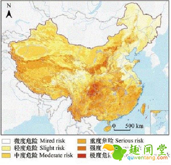 沙尘暴来袭：我们种的梭梭树都干啥去了？