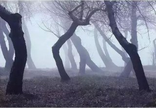 看完这个，再也不生气了！