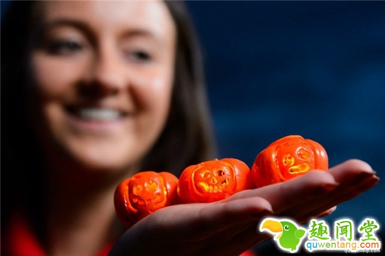英国展出世界上最小的南瓜灯，超萌超mini