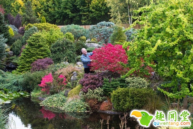 英国爸爸花费25年，打造浪漫秘密花园