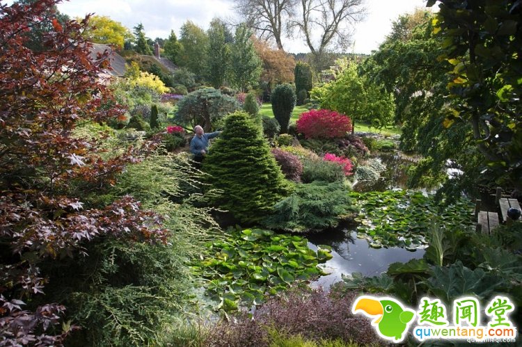 英国爸爸花费25年，打造浪漫秘密花园