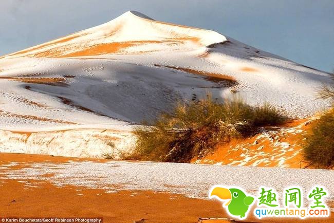 连续第二年！撒哈拉沙漠北部城市再迎降雪(组图)